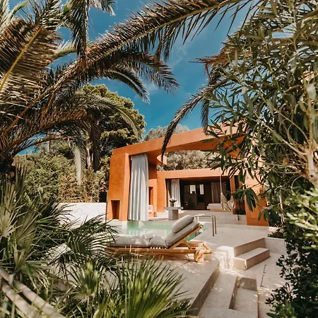 Zori Timeless フヴァル